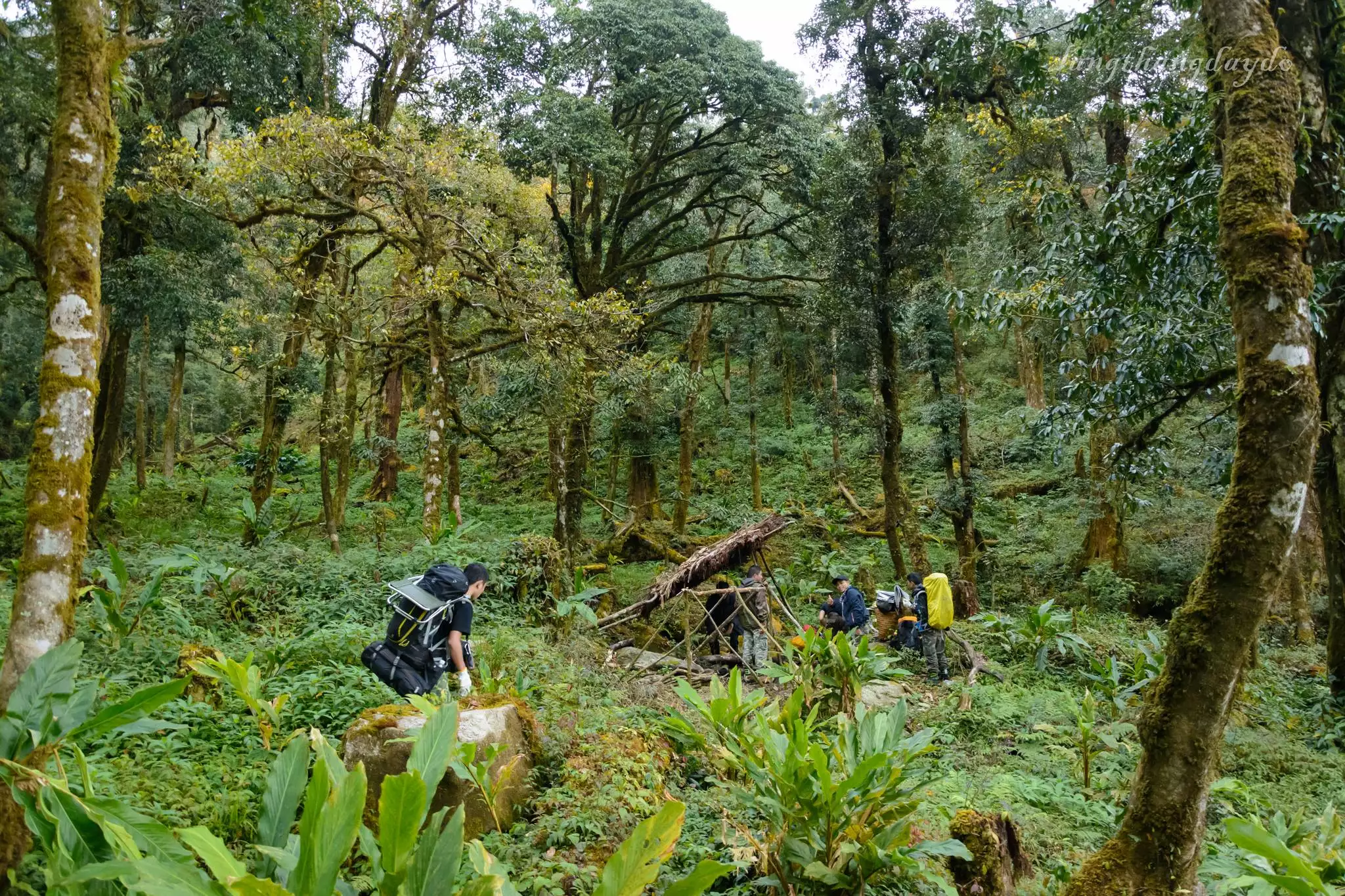 Nhiu Co San Mount Trekking Tour 3 Days